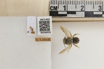 Media type: image;   Entomology 789223 Aspect: Labels
